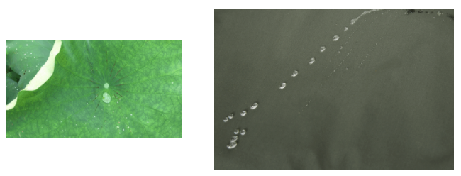 bwin必赢医用纺织